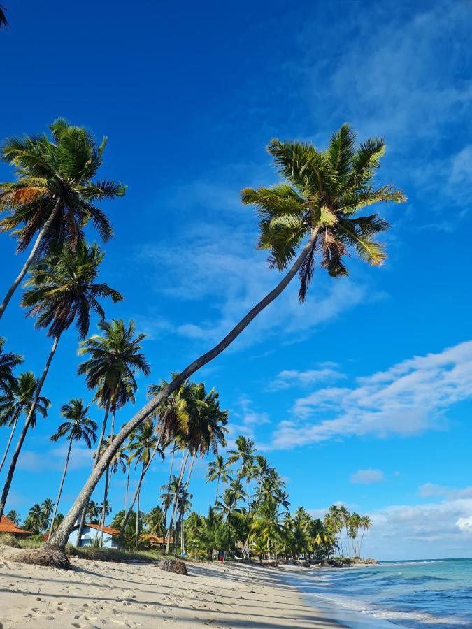 Flat Praia Dos Carneiros Tamandaré Kültér fotó